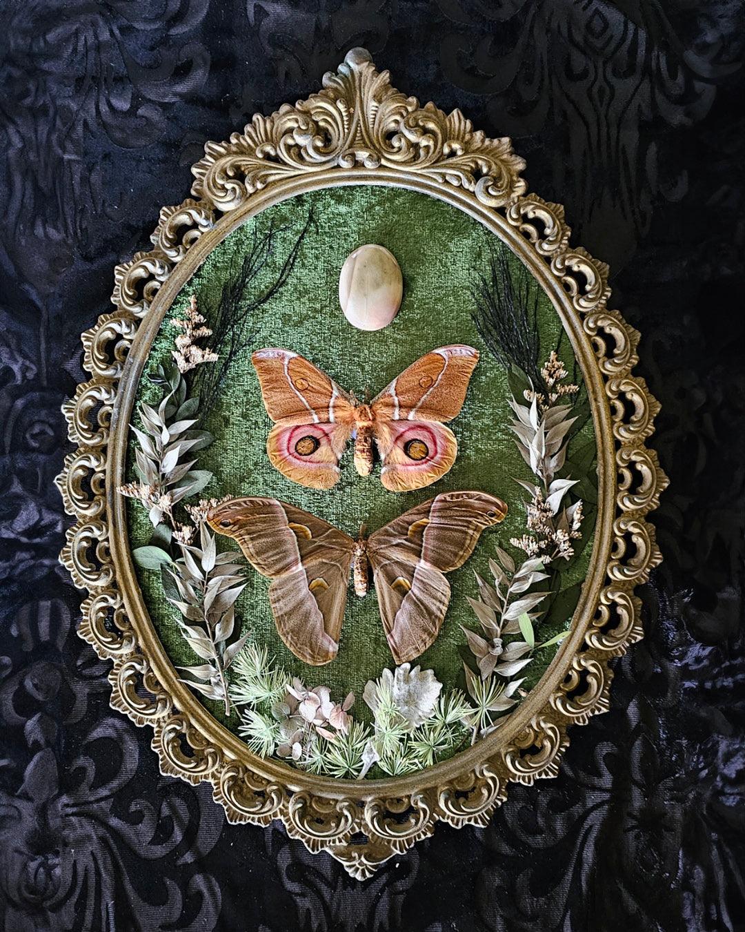 Frame vintage - Brass Italian Gothic bubble frame with butterflies - That Creative Feeling