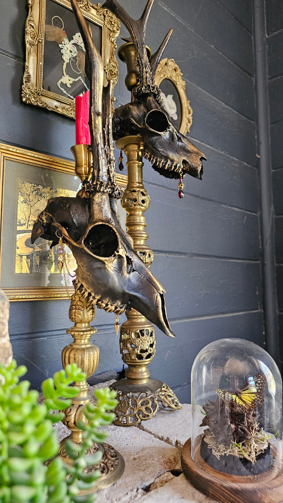 Roe deer skull on brass candle holder (49cm)