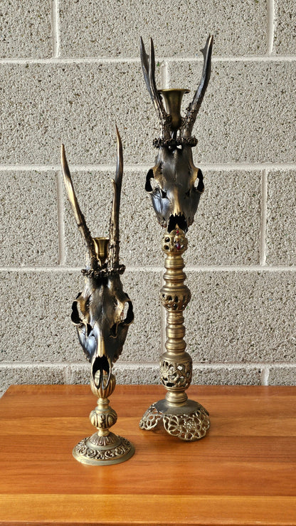 Roe deer skull on brass candle holder (49cm)