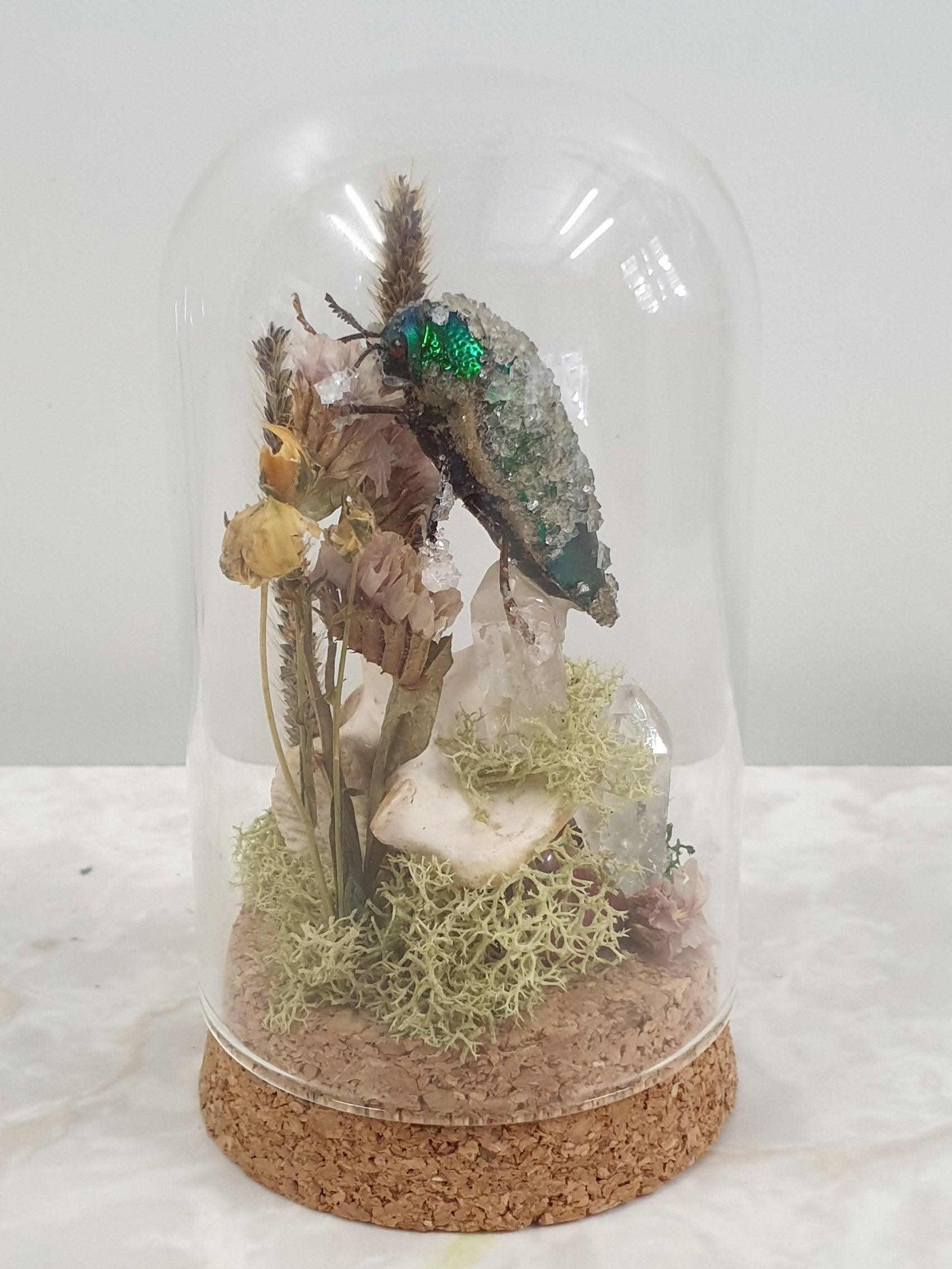 Glass Dome Small - butterflies & insects - That Creative Feeling