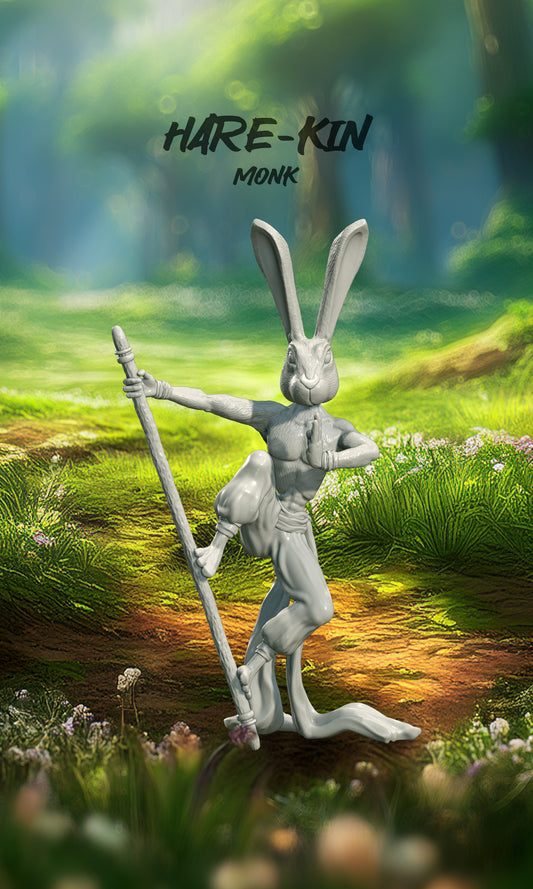 COMMISSION REQUEST for Hare-kin Monk model