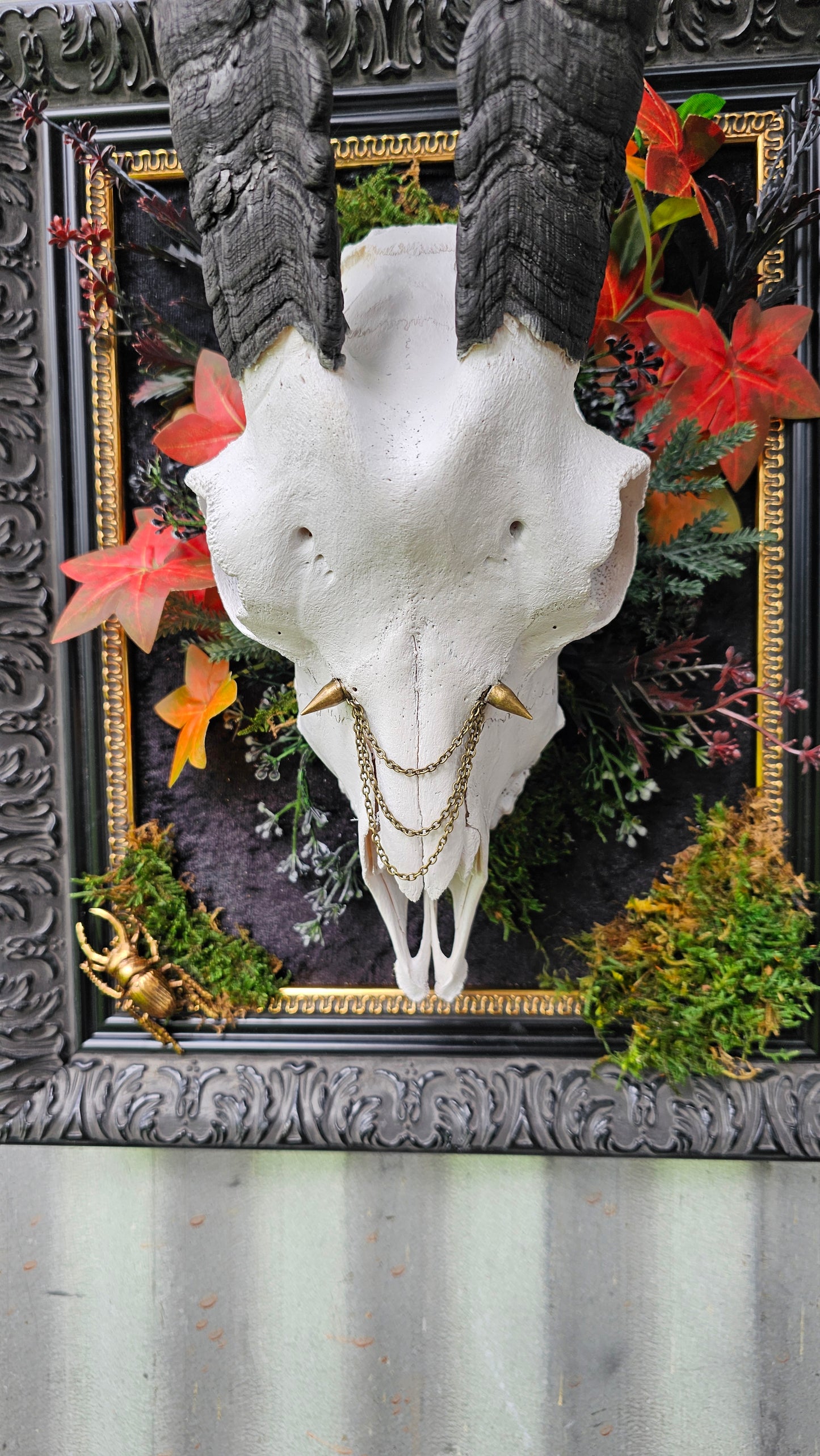 Skull - real Goat on black frame gothic style