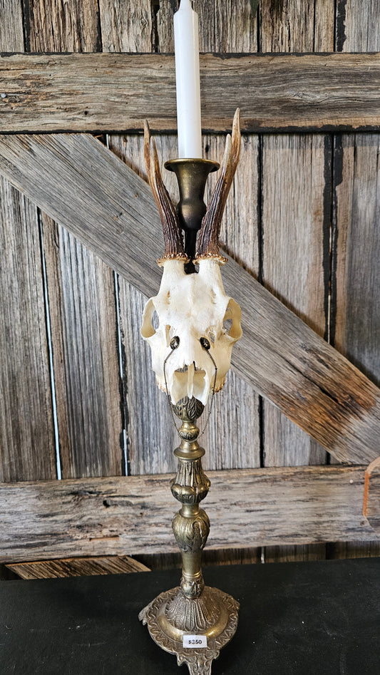 Candle holder - real skull on vintage candle stick
