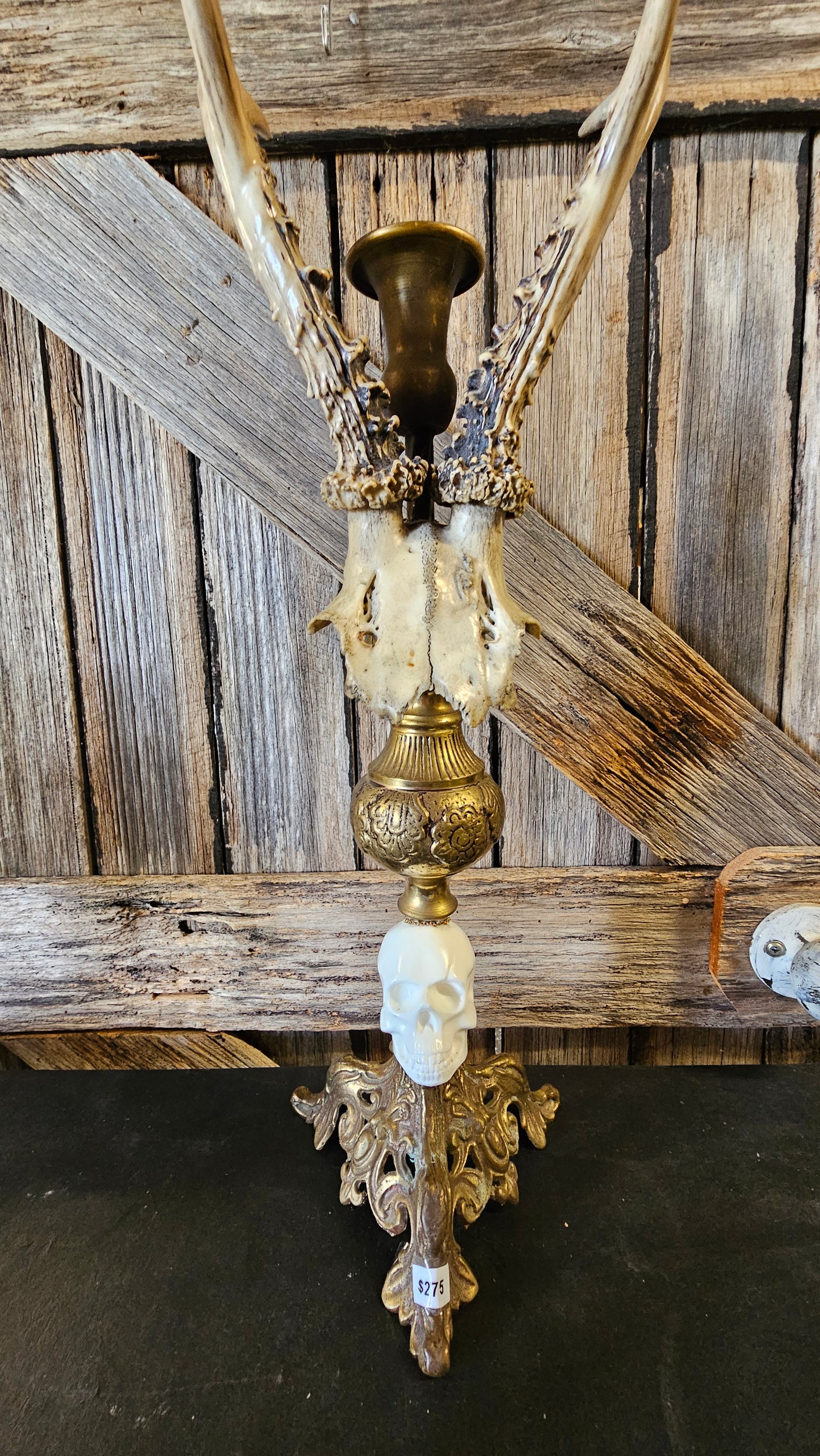 Candle holder - real skull on vintage candle stick