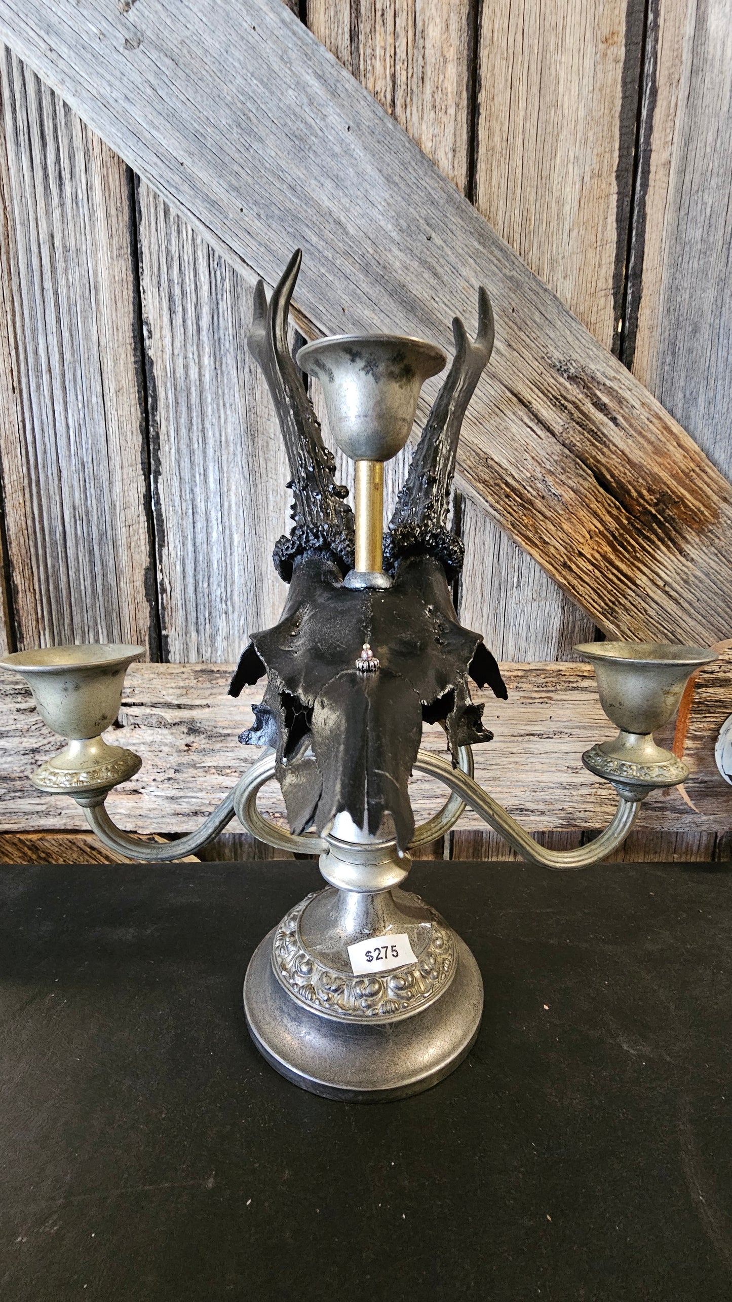 Candle holder - real skull on vintage candle stick