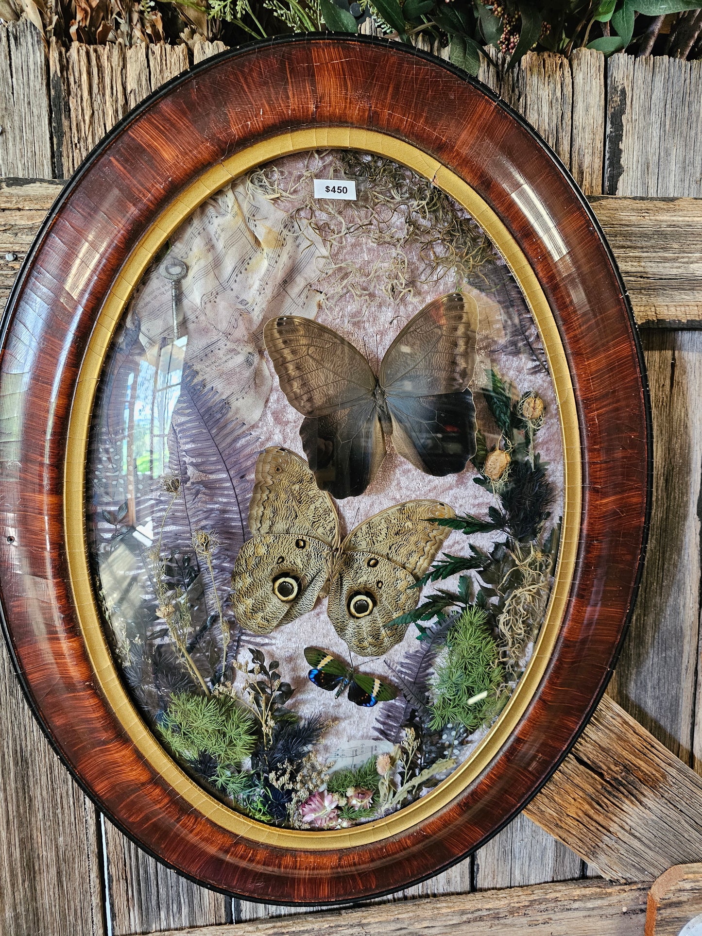 Frame vintage - Victorian Gothic bubble frame with Giant Owleye butterflies & music score
