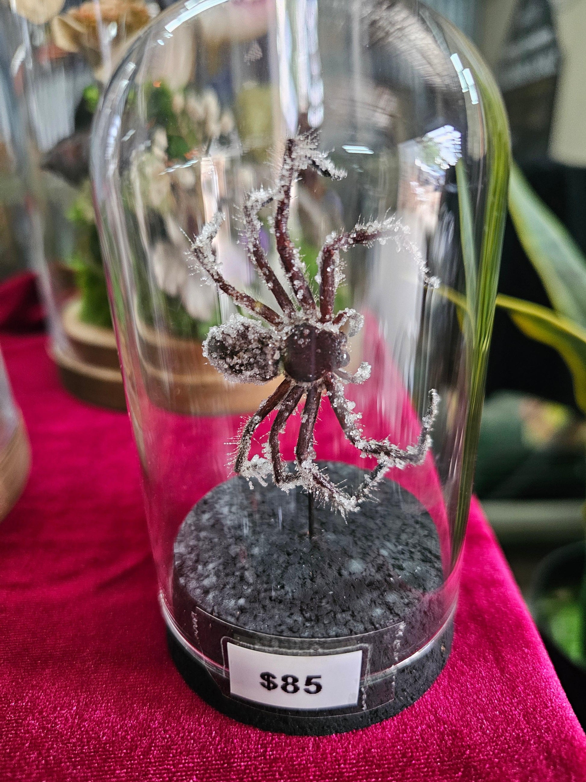 Glass Dome Small - butterflies & insects - That Creative Feeling