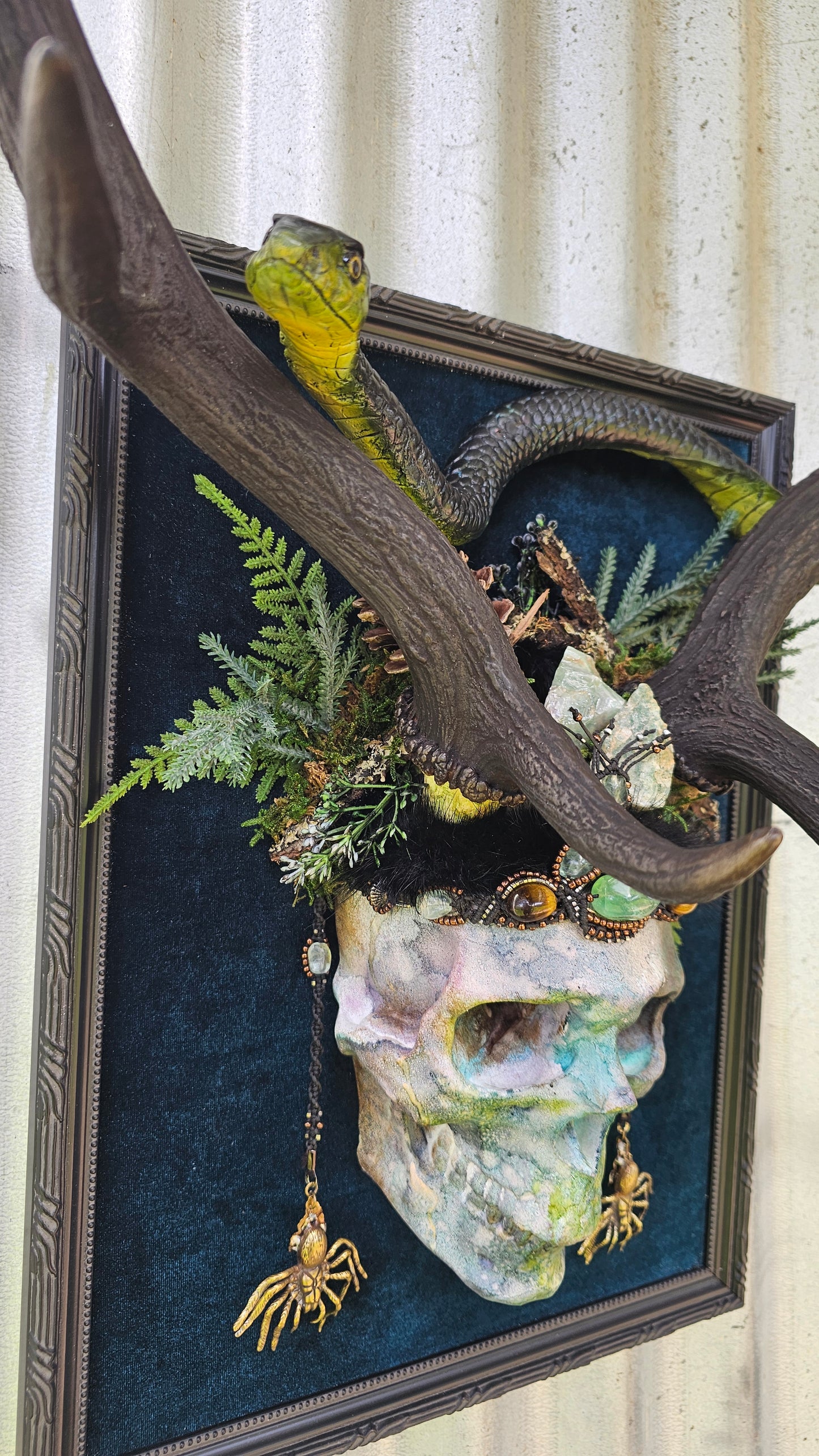 Deer antlers - 'Ancients Lost vii' fallow deer with human-sized skull and snake art