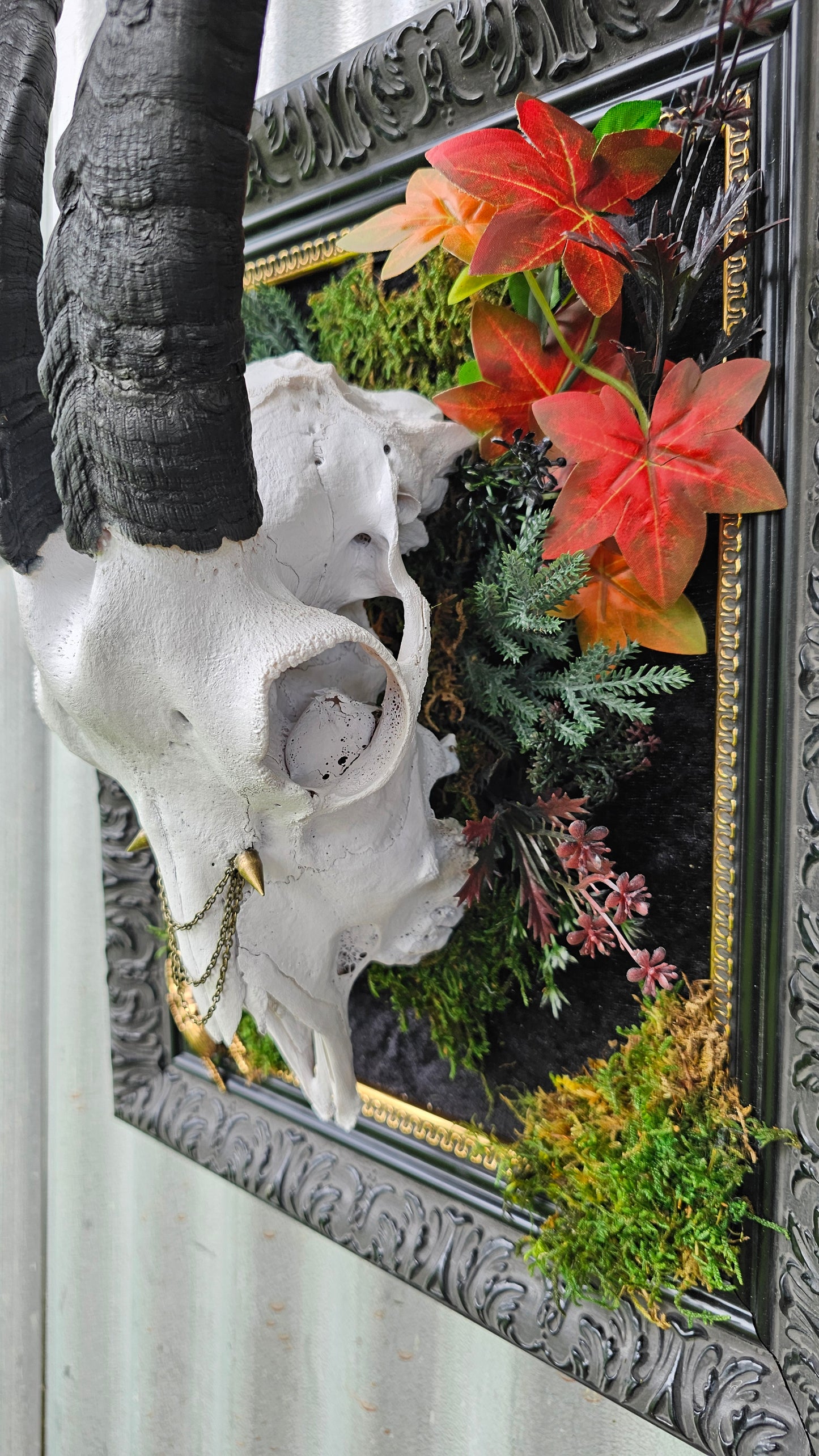 Skull - real Goat on black frame gothic style