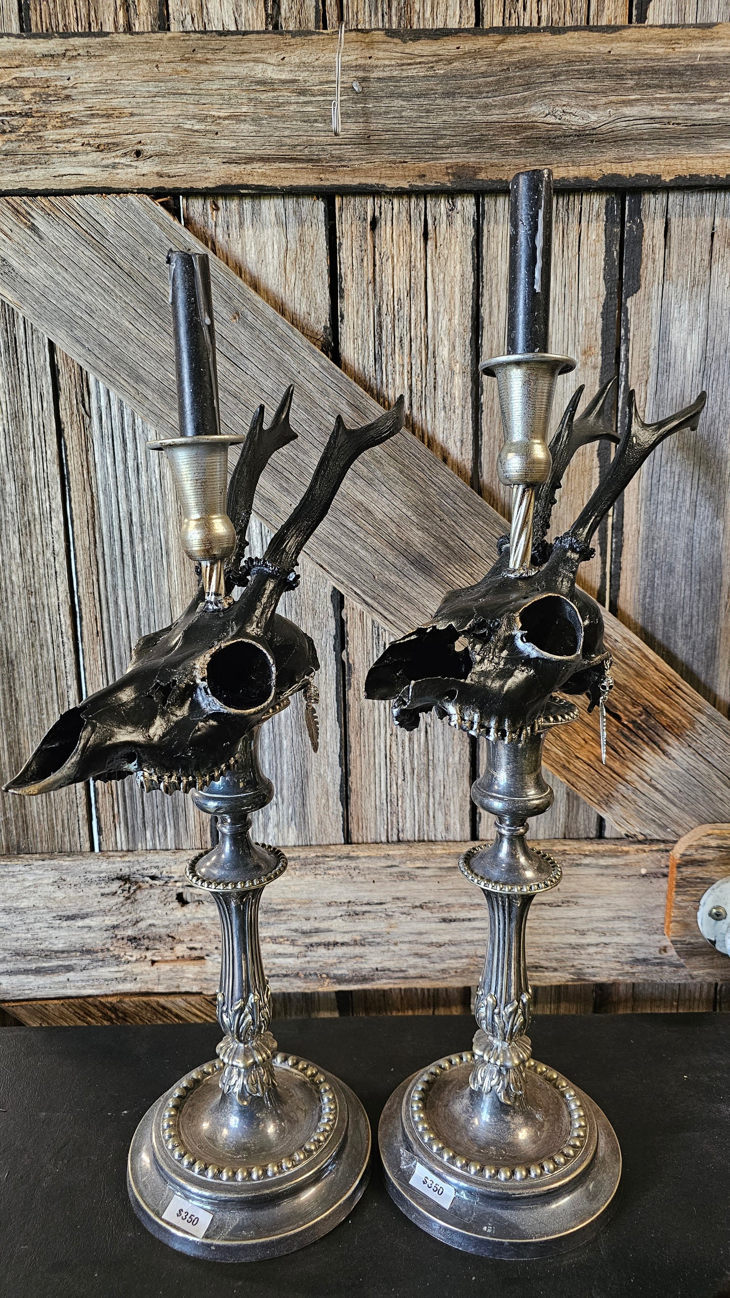 Candle holder - real skull on vintage candle stick