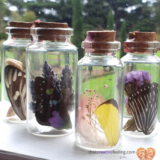 Real Butterfly wing curio - insect taxidermy for your sacred space