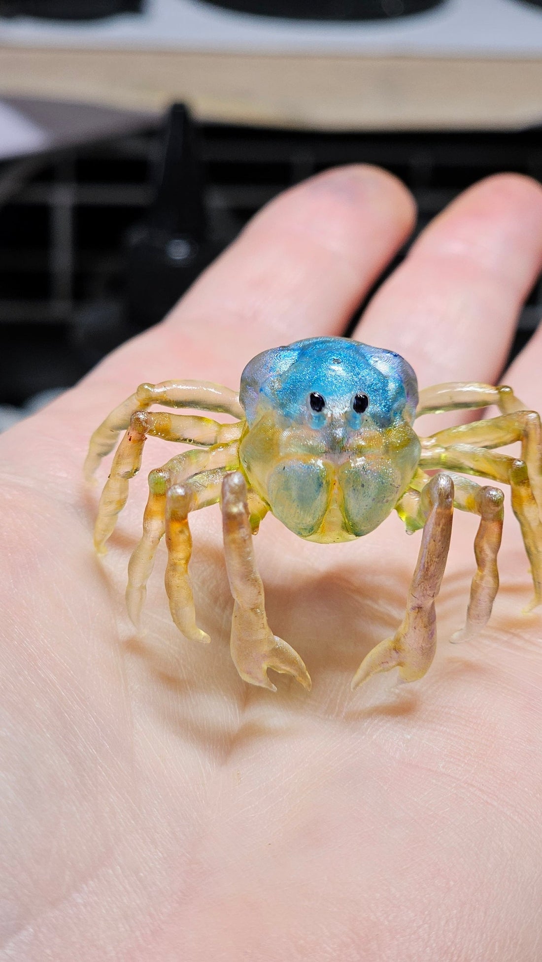 Soldier crabs