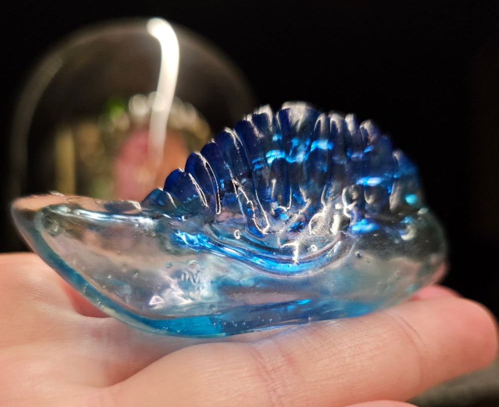 Project 2026: 'From Waste to Awareness in the Anthropocene'