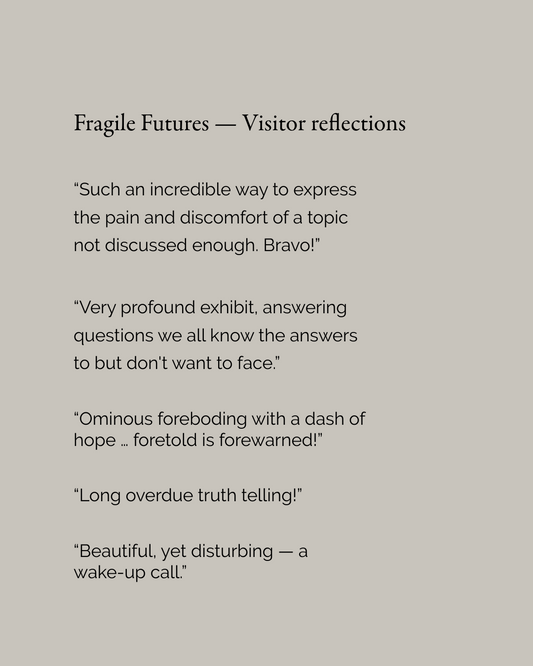 Fragile Futures: What Visitors Are Telling Me