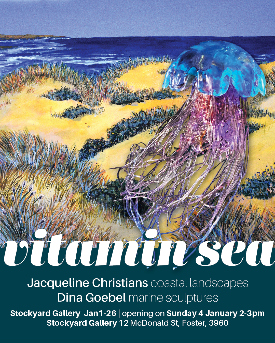 Vitamin Sea - gallery exhibition