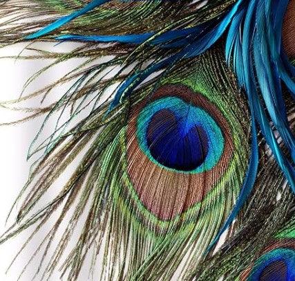 This weeks inspiration is peacock blue - That Creative Feeling