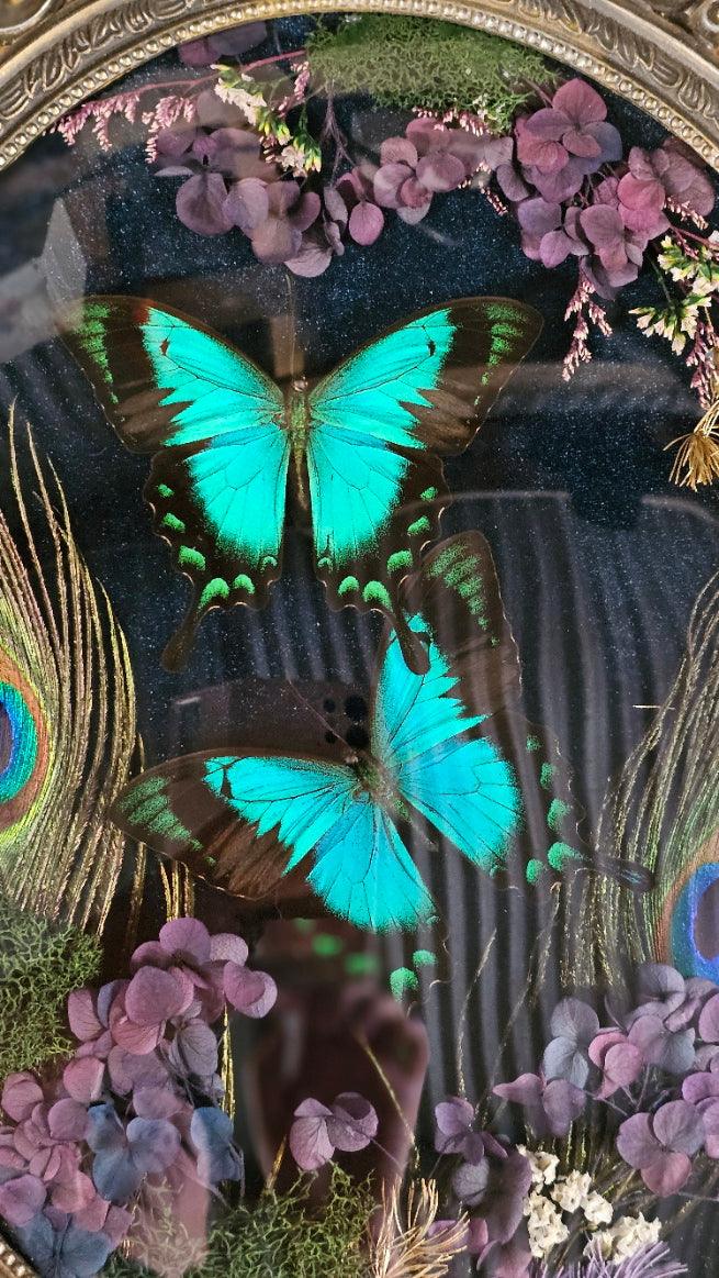 Butterflies, Moths & Insects - That Creative Feeling