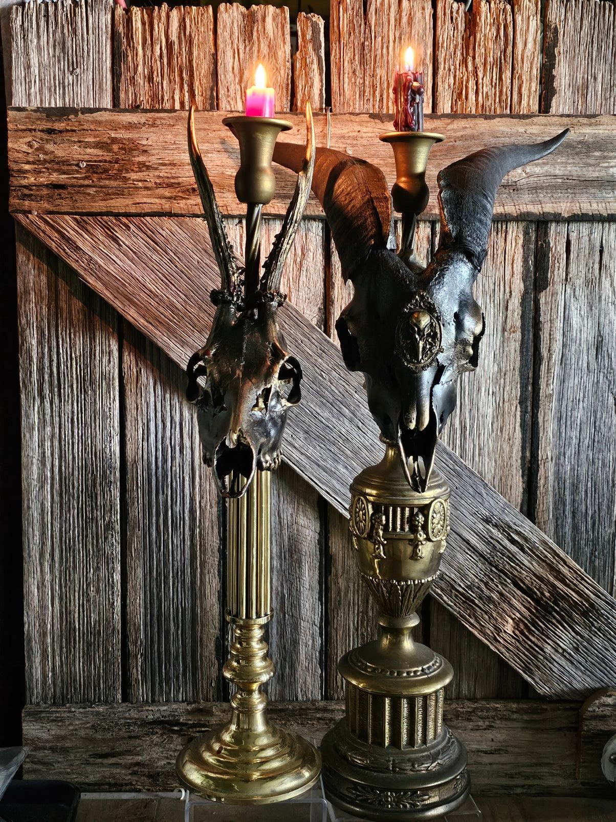 Skulls, Bones & Antlers - That Creative Feeling