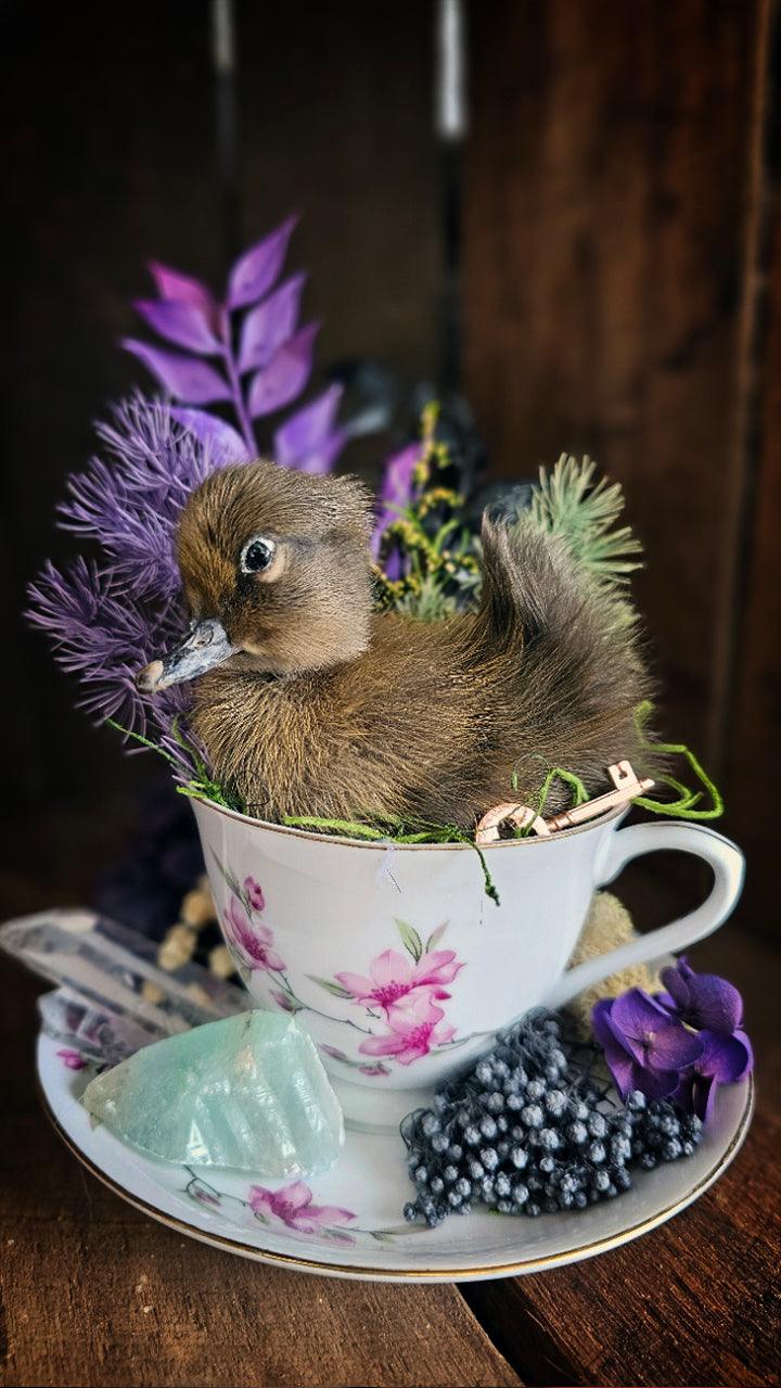 Creatures, Curios & Taxidermy - That Creative Feeling