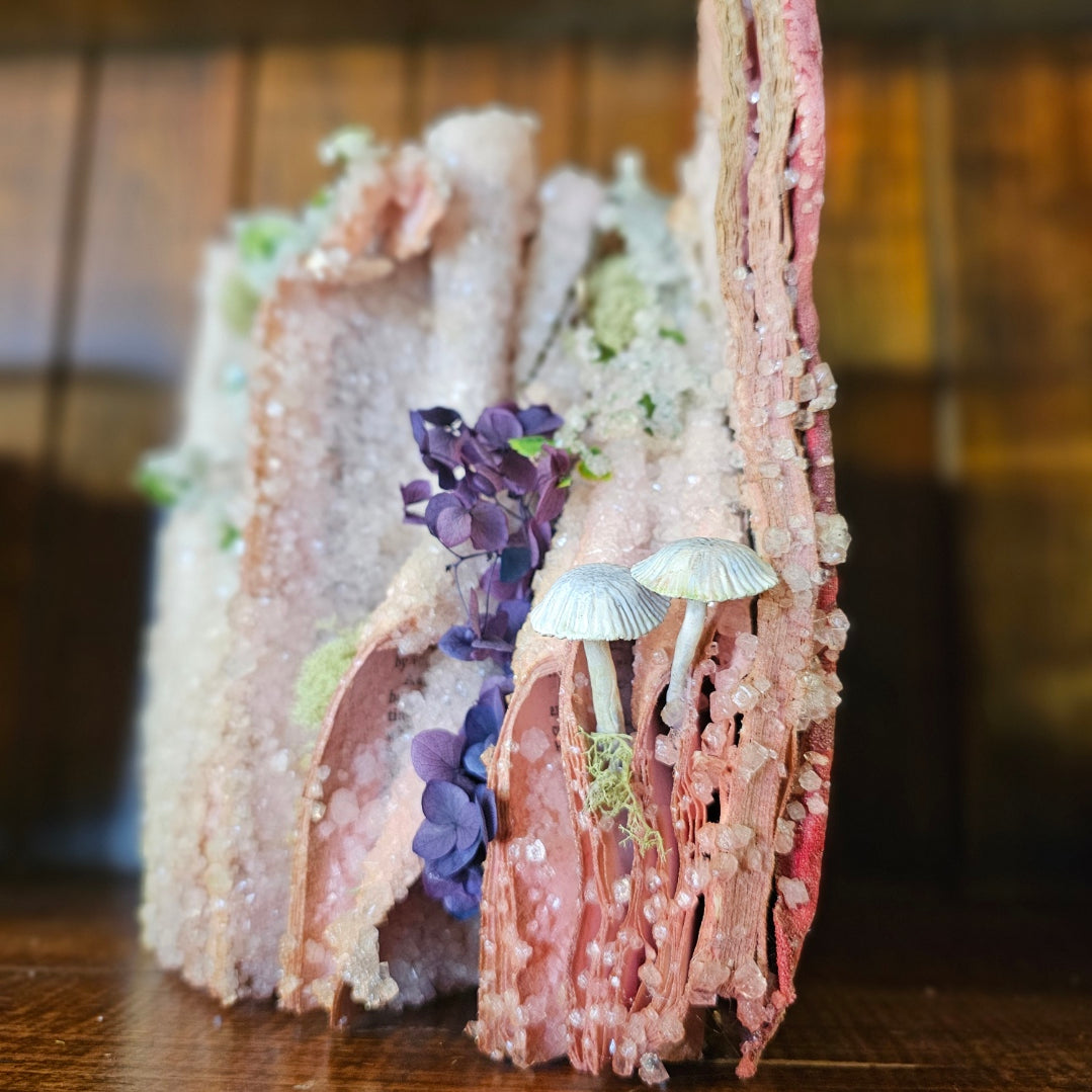 Vintage Crystalized Books