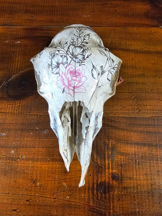 Skull - Tattooed sheep skull, taxidermy