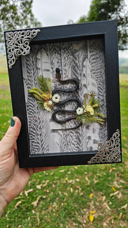 Taxidermy - Snake skeleton in the garden - framed