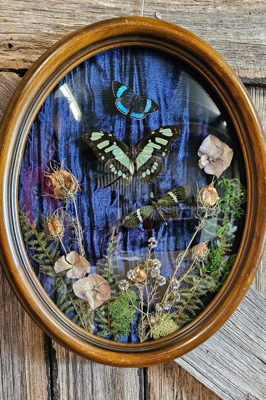 Frame vintage - Victorian Gothic bubble frame with trio of butterflies