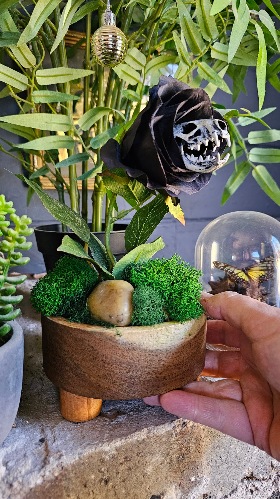 Skull - 'Cleopatra' - Morticia Adams carnivorous plant with mink skull,, taxidermy