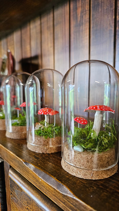 Glass Dome small - Mushroom 🍄
