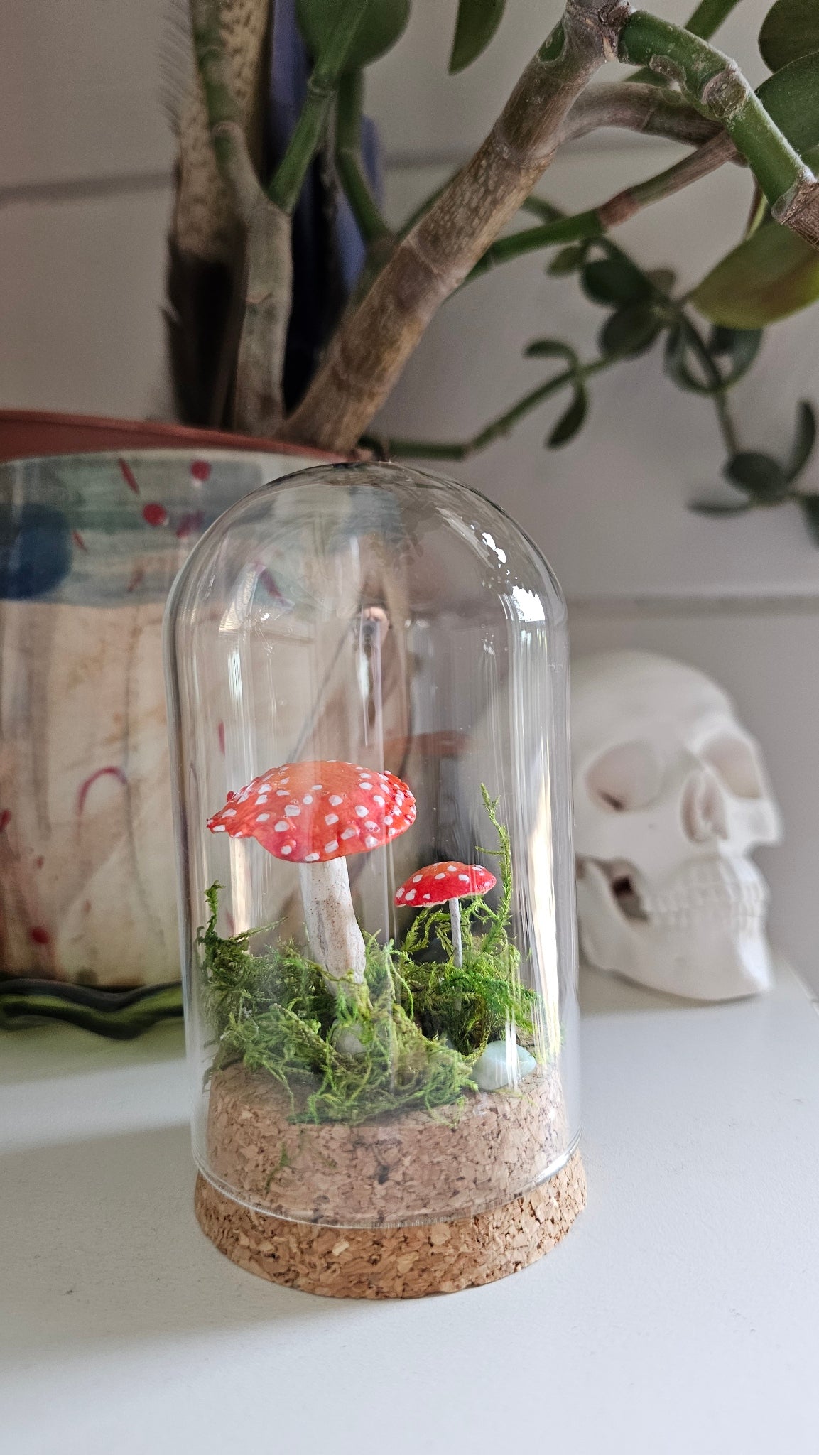 Glass Dome small - Mushroom 🍄