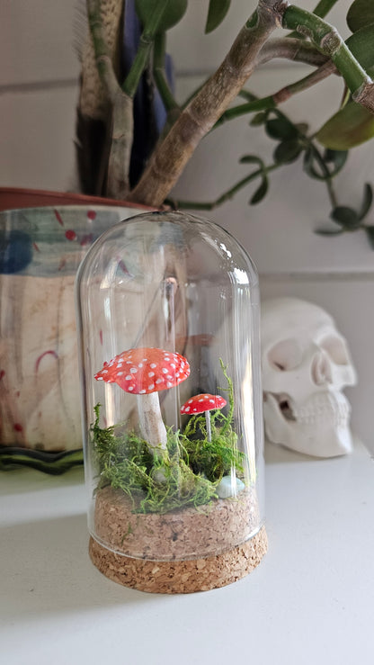 Glass Dome small - Mushroom 🍄