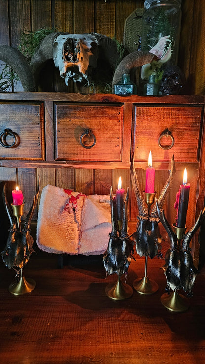 Candle holder - Roe deer skull on brass