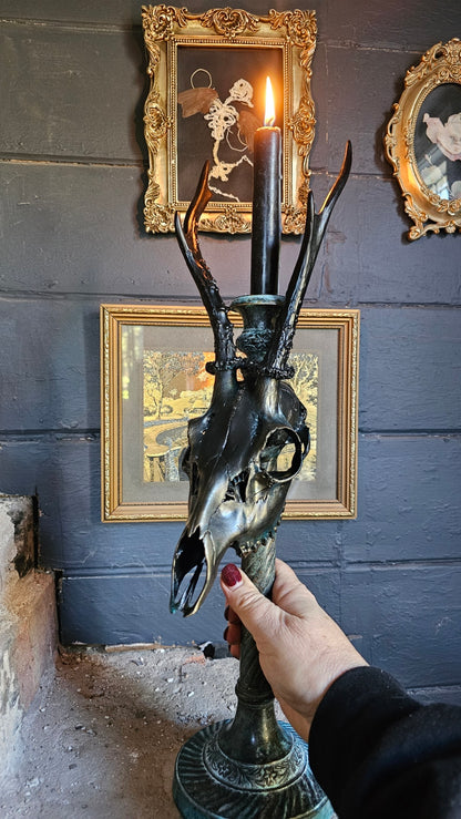 Roe deer skull on copper candle holder (60cm)