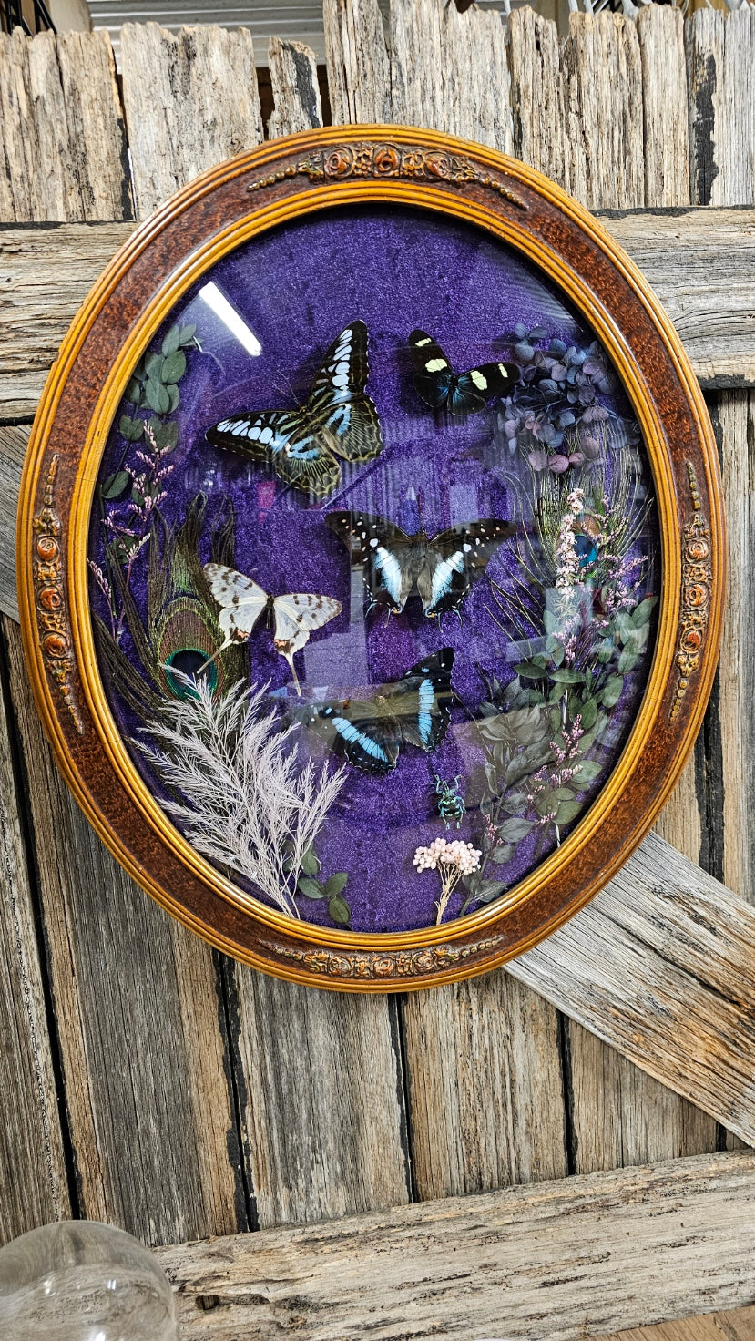 Frame vintage - Victorian Gothic bubble frame with butterflies & dried flowers