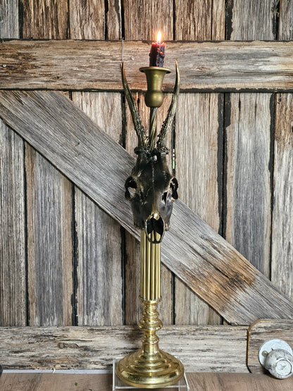 Candle holder - Roe deer skull (black) on vintage brass