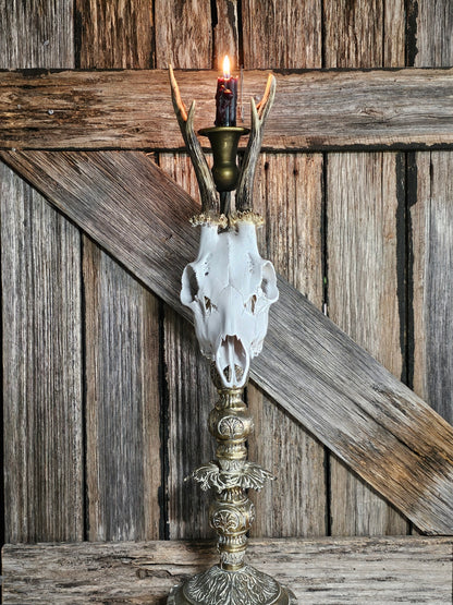 Candle holder - Roe deer skull (white) on vintage brass