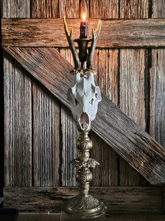 Candle holder - Roe deer skull (white) on vintage brass