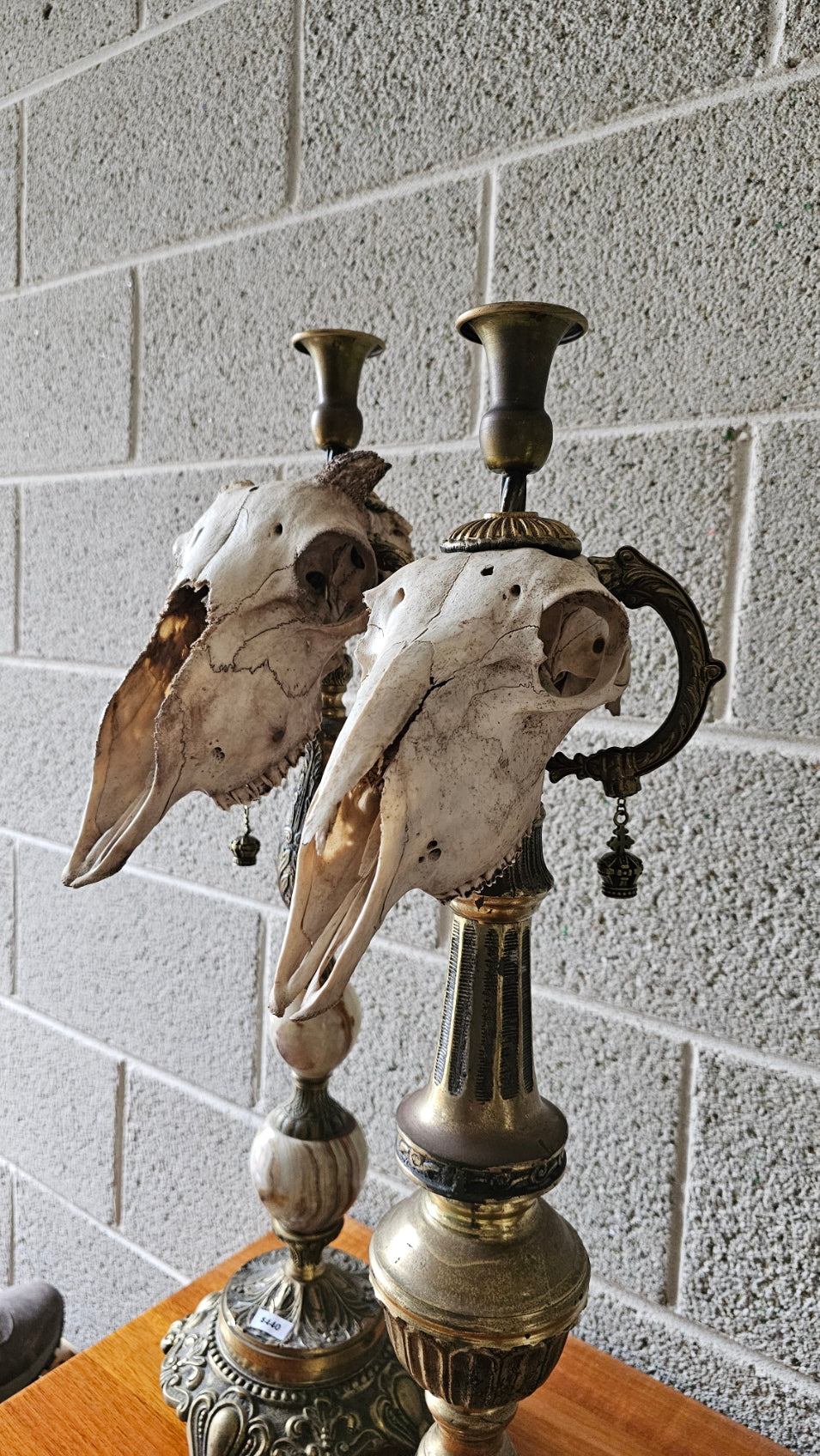 Candle holder - Sheep skull on vintage brass base