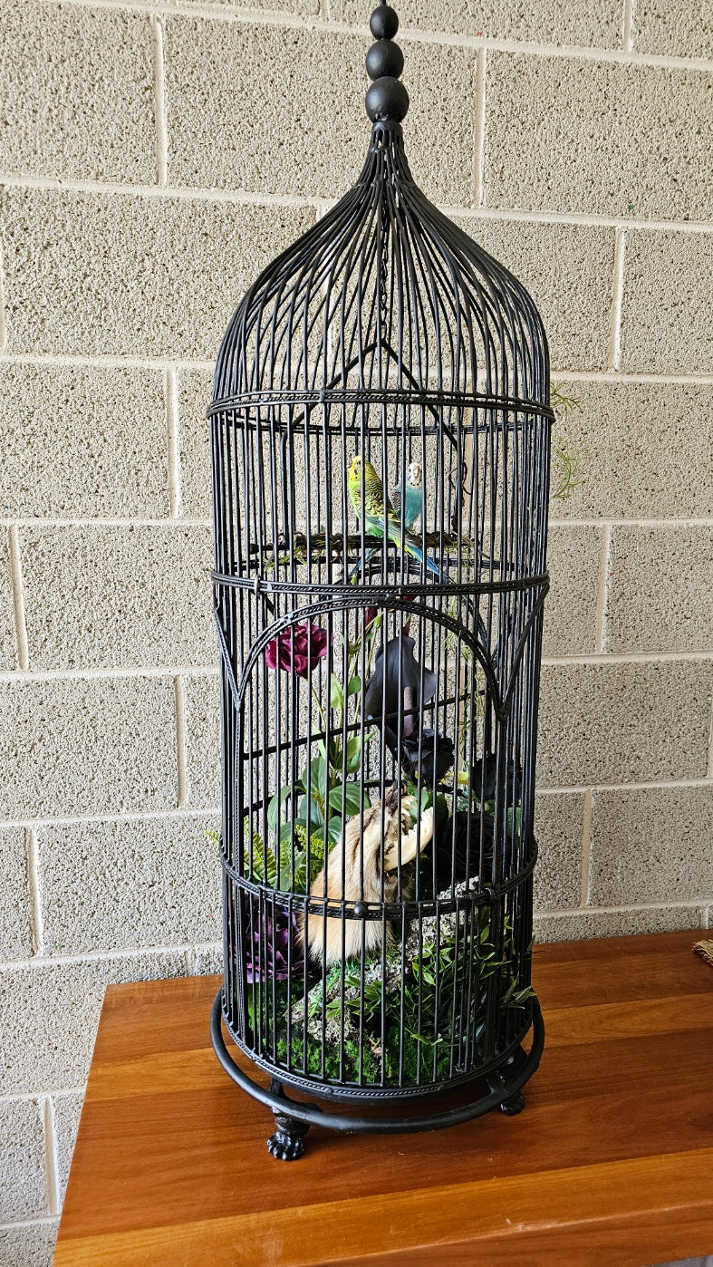 Taxidermy budgies and fox in a tall bird cage