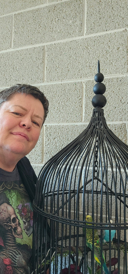 Taxidermy budgies and fox in a tall bird cage