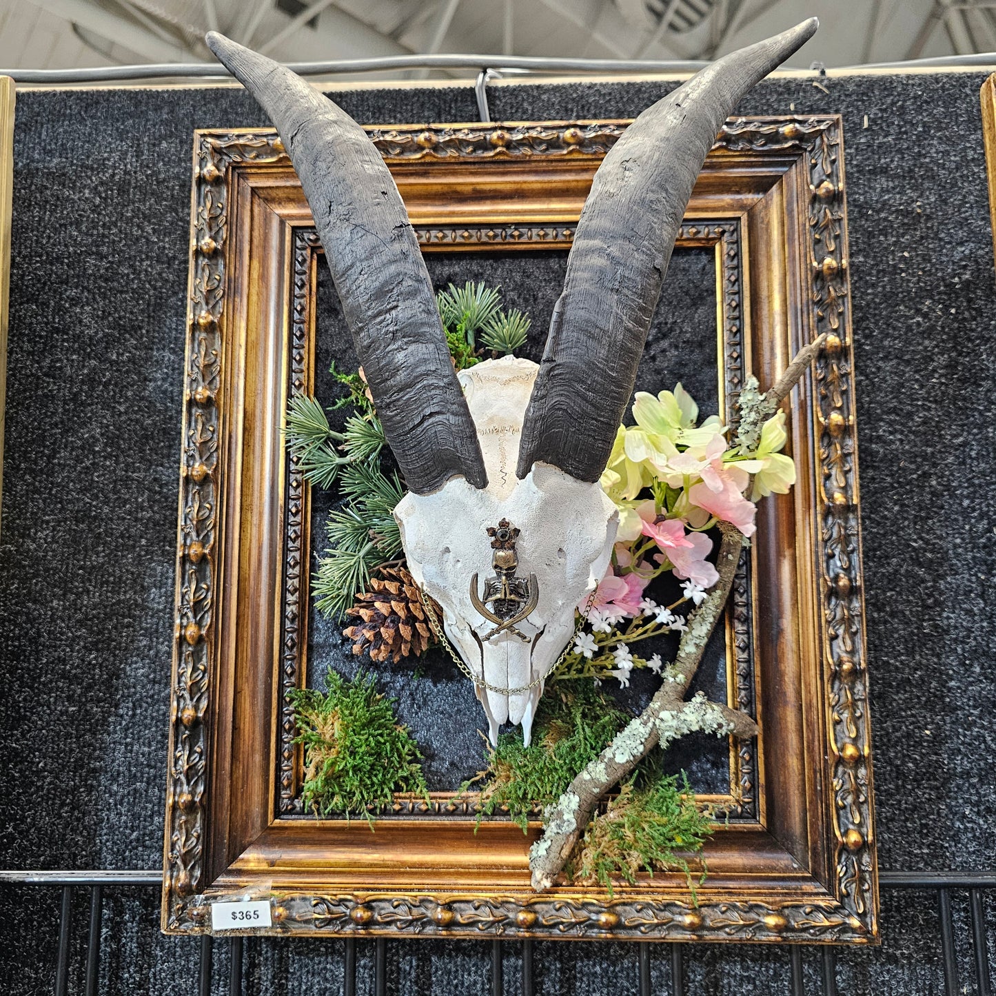 Skull - Goat framed antique style