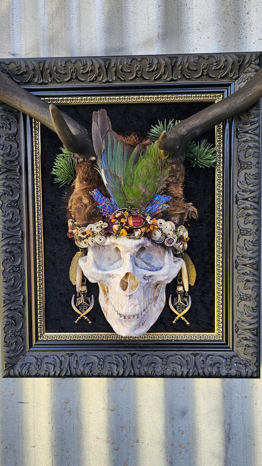 Antler art - Fallow deer with skull - framed