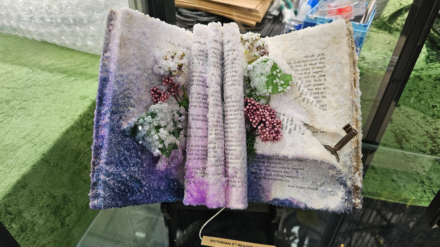 Dead Fairy Diaries - crystalized rare vintage books