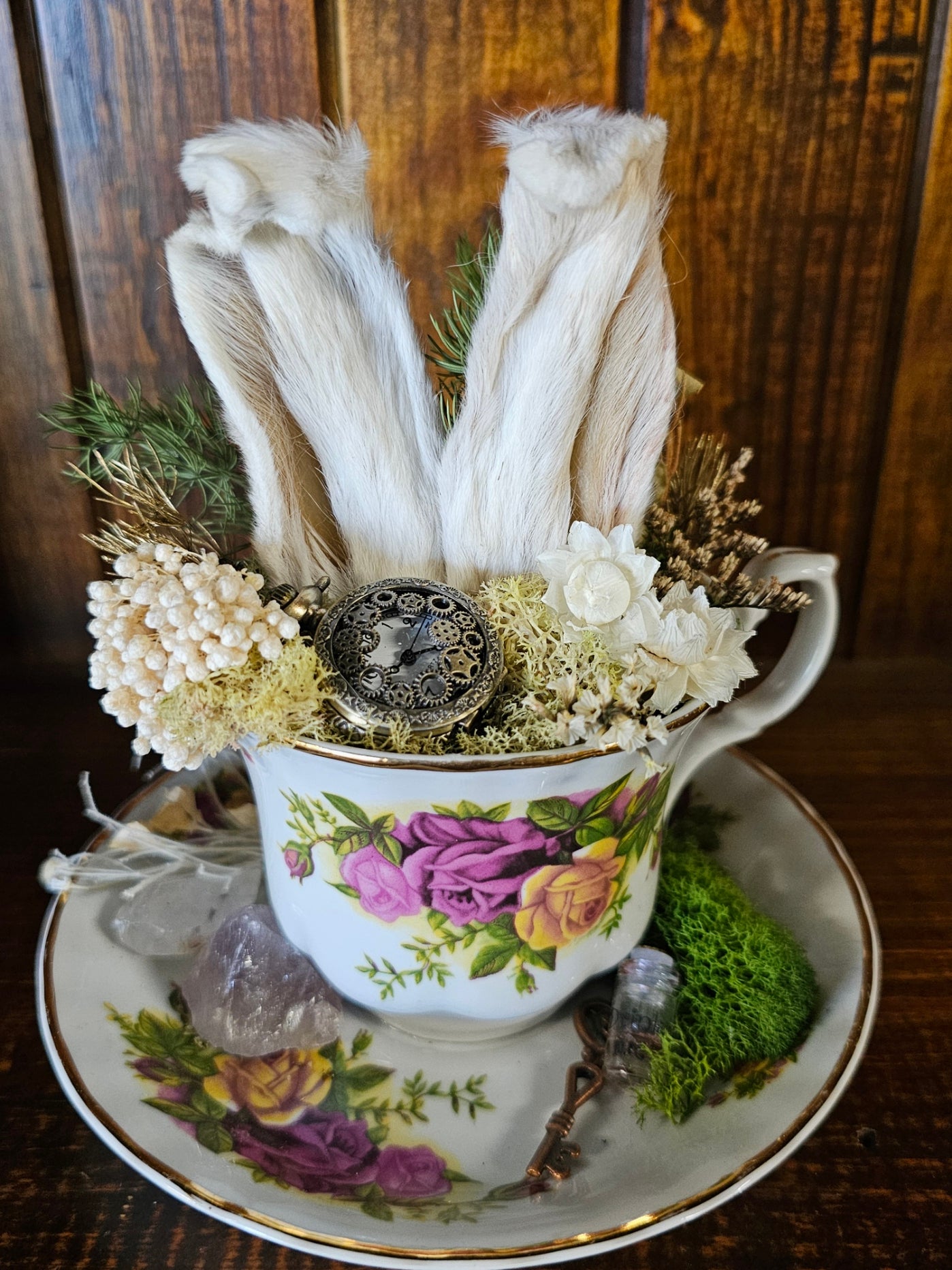 Taxidermy - real bunny ears - Alice in Wonderland cups