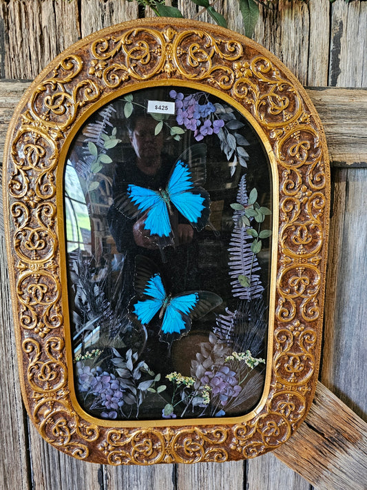 Frame vintage - Victorian Gothic bubble frame with Blue Swallowtail butterflies