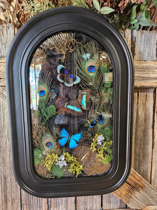 Frame vintage - Victorian Gothic bubble frame with Blue butterflies mix