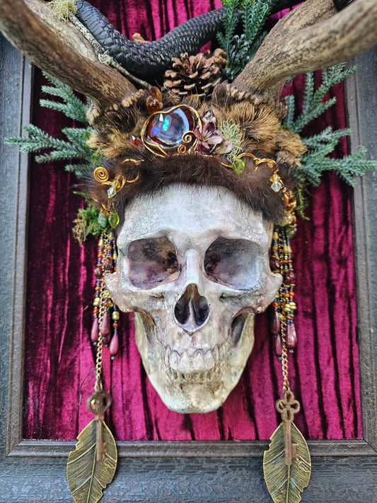Deer antlers - Fallow deer with human skull and snake art