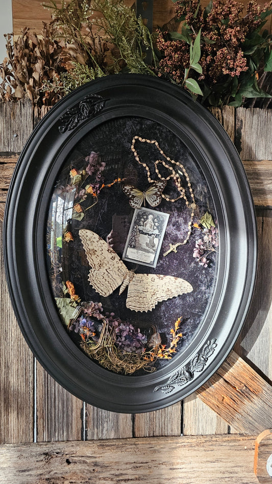 Frame vintage - Victorian Gothic bubble frame with White Witch Moth