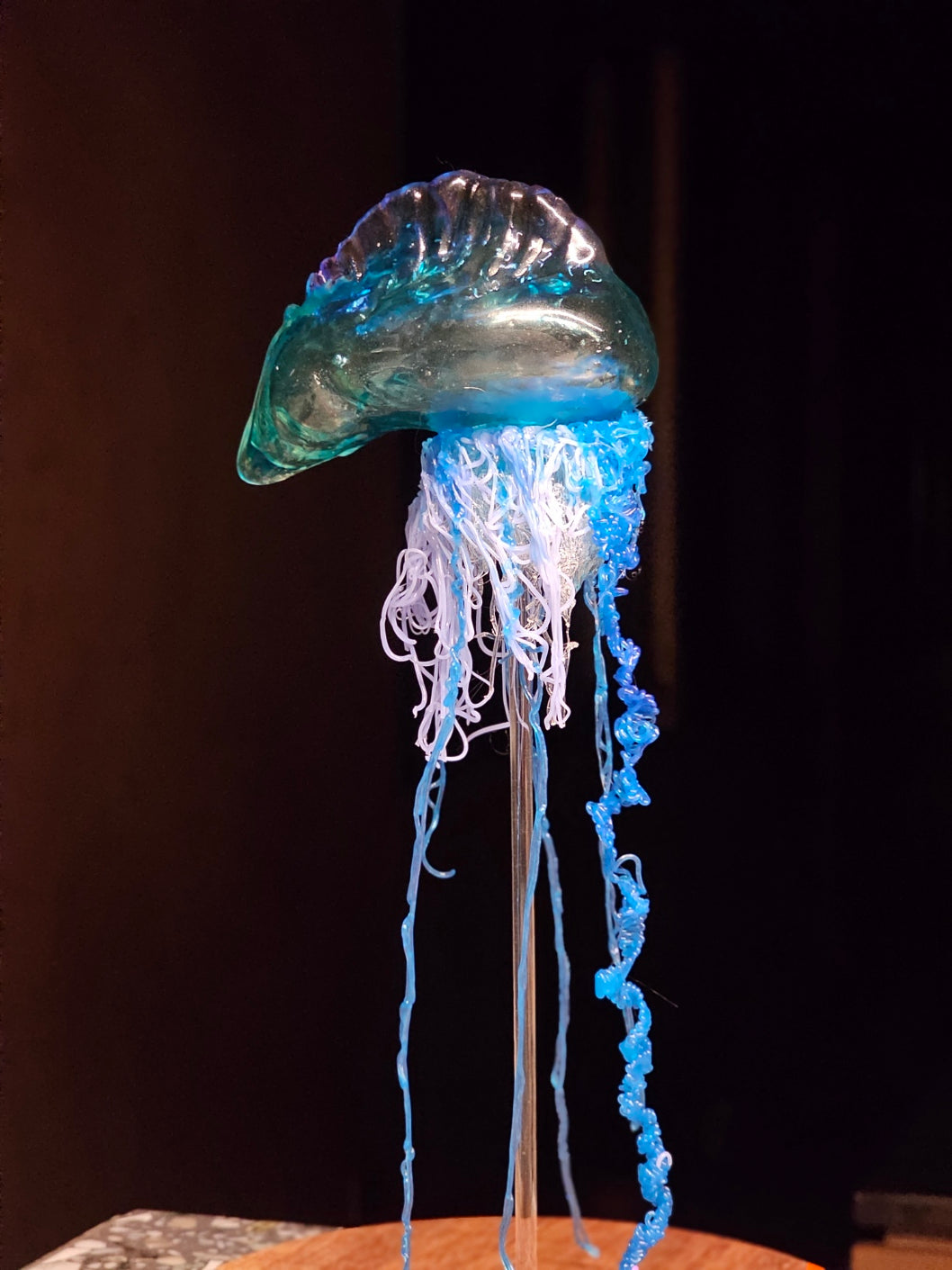COMING SOON - Blue Bottle jellyfish in glass dome