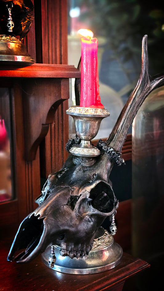 Candle holder - Roe deer skull on silver (25cm)